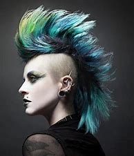 Image result for Female Punk Hair