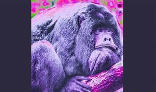 Image result for Purple Ape Meme