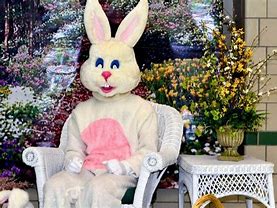 Image result for Easter Bunny Caught On Camera