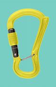 Image result for Carabiner with Swivel