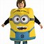 Image result for Despicable Me Super Costume