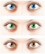 Image result for Colored Eyes