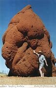 Image result for Biggest Poop in the Universe