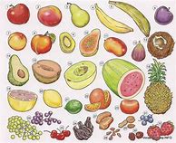 Image result for Les Fruits Illustré