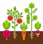 Image result for Cute Vegetable Garden Clip Art