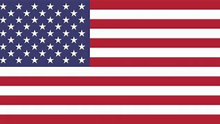 Image result for United States of North America Flag