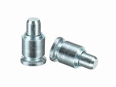 Image result for Spring Loaded Plunger Assembly