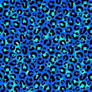 Image result for Leopard Print and Royal Blue Background