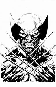 Image result for Black and White Wolverine Art