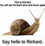 Image result for Weird Snail Meme