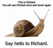 Image result for Wrinkled Gary the Snail Meme