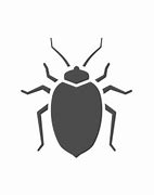 Image result for Bed Bugs in Phone Case