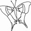 Image result for Flying Butterfly Coloring Pages