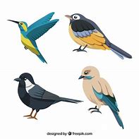 Image result for Flat Bird Vector
