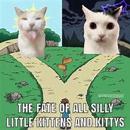 Image result for Cat Cute Kitten Memes