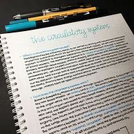Image result for Neat Primary School Notes