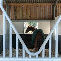 Image result for Horse Racing Stables