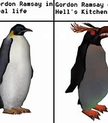 Image result for Zoo Tycoon Whale Meme