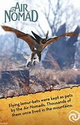 Image result for Flying Lemur Bat