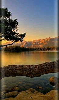 Image result for Beautiful Cell Phone Wallpaper