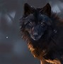 Image result for Halloween Werewolf