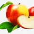 Image result for Apple Fruit White Background