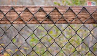 Image result for Wood and Chain Link Fence