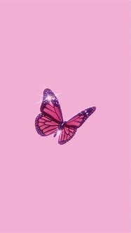 Image result for Asthetic Pink Butterfly