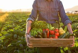 Image result for Veggies On the Farm