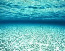Image result for Underwater Laptop Background