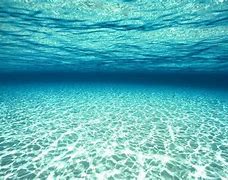 Image result for Cool Underwater Scenes