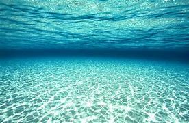 Image result for Underwater Wallpaper Desktop Free