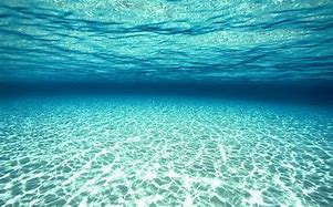 Image result for Large Underwater Wallpaper