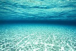 Image result for Underwater Wallpapers for Desktop