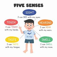 Image result for Boy 5 Senses