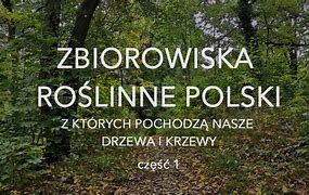 Image result for co_oznacza_zbiorowiska_roślinne_polski