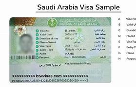 Image result for Saudi Arabia Job Visa