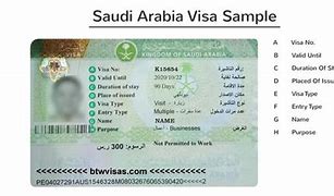 Image result for Saudi Visa