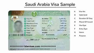 Image result for Saudi Arabia Temporary Work Visa