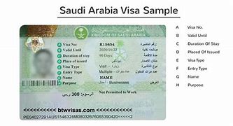 Image result for Saudi Arabia Business Visa
