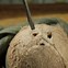 Image result for Raw Coconut