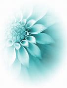 Image result for Flower Design Transparent Background