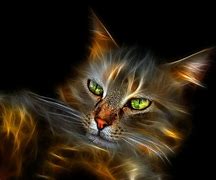 Image result for Cute Neon Cats