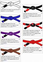 Image result for Brazilian Jiu-Jitsu Belt