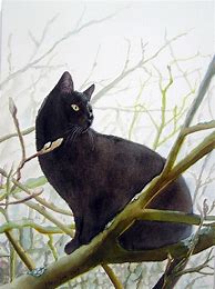 Image result for Black Cat Artwork