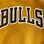 Image result for Pro Line Bulls Varsity Jacket