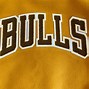 Image result for Chicago Bulls Gold Champions Jacket