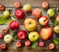 Image result for Apple Fruit