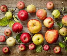 Image result for Big Pressed Apples