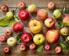 Image result for Healthy Habbits Fruits Apple